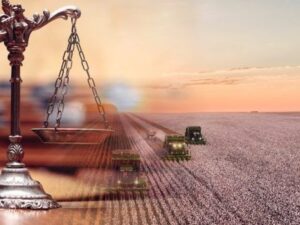 Como Lidar com Questões Trabalhistas: Um Guia Abrangente